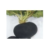 Akın Siyah Turp Tohumu - 10 Gram