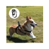 Aksiyon Kamerası için Köpek Montaj Kemeri