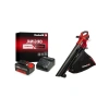 Akülü Yaprak Toplama ve Üfleme Aleti + 18V Başlangıç Seti