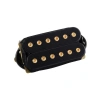 Al Di Meola Model Köprü Humbucker Manyetik