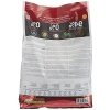 Ancestral Grain Kedi Maması, Tavuk ve Tahıllı, 5 Kg