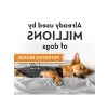 Anksiyete Giderici Sakinleştirici Yelek, X Small, Gri