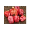 Antep Dolmalık Biber Tohumu - 10 Gram