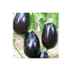Antep Dolmalık Patlıcan Tohumu - Aksel 10 gr