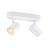 Ayarlanabilir Beyaz ve Renkli Spot Tavan Lambası, 2x5W