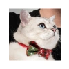Ayarlanabilir Papyonlu Kedi Tasması