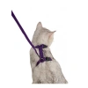 Ayarlanabilir ve Konforlu Kedi Tasması - 110 cm