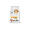 Az Tahıllı Yavru Kuzulu Small/Mini Köpek Maması - 6 Kg