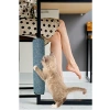 Bağlanabilir Kedi Tırmalama Halısı - Her Ebat Masa ve Sandalye Ayakları için