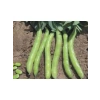 Bakla Sakız Tohumu - 10 gr, Sağlıklı Seçenek