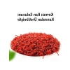 Balık Çekici Aroma - 60 ml, Güçlü Yem Katkısı