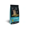 Balıklı Kuru Kedi Maması Yetişkin 15 kg