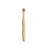 Bambu Dil Fırçası - Lila Renk, 1 Paket, Doğal Malzeme