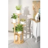 Bambu Yuvarlak Form 5 Raflı Saksılık Organizer