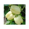 Beyaz Dolmalık Biber Tohumu - 3 Gram