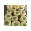 Beyaz Dolmalık Biber Tohumu - 3 Gram