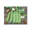 Bezelye Tohumu - 10 Gram