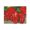 Biber Yağlık Tohumu - 10 gr Lezzetli ve Sağlıklı