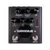 Blackhole Reverb Pedal - Gelişmiş Efektler