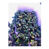 Canlı Anubias Petite Bitki - 5-7 Yaprak