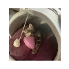 Catnip ve Kedi Zili İçeren Dinamik Kedi Oyuncağı