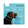 Çekme Önleyici Köpek Halter - Boyut 2 (35-48 cm), Siyah