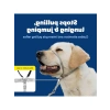 Çekmesiz Köpek Yaka - Yürüyüş Kontrolü için İdeal Çözüm