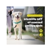 Çekmeyi Önleyen Ayarlanabilir Köpek Göğüs Tasması, Large, Sarımsı Turkuaz/Gri