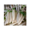 Çin Beyaz Turp Tohumu - 5 Gram