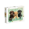 Clementoni - 1000 Parça HQ Collection Yetişkin Puzzle - Three Labs