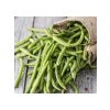 Çoklu Tohum Fasulye Teğmen Oturak - 25 Gram