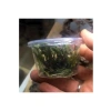 Cryptocoryne Crispatula İn Vitro Canlı Bitki - Akvaryum İçin Sağlıklı Seçim