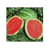 C.Sweet Karpuz Tohumu - 5 Gram