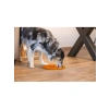 Daire Şeklinde Silikon Yavru Köpek Mama Yeme Oyuncağı, 30 cm