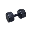 Dambıl Seti - 20 kg, 10 x 2 Adet