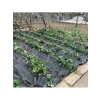 Dayanıklı Siyah Jüt Taban Örtüsü - 90 gram/m² - 1,5 M x 1 M Boyut