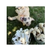 Dayanıklı Tavuk Aromalı Köpek Çiğneme Kemiği M Boy