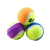 Dayanıklı Tenis Topu - Köpek Eğitim Oyuncağı (4 Adet)