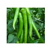 Demre Biber Tohumu - Verimli ve Lezzetli - 5 Gram