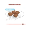 Dengeli Beslenme İçin Özel Formüle Edilmiş 3 Kg Köpek Maması