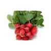 Doğal Cherry Turp Tohumu - 10 Adet