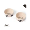 Doğal Hijyenik Seramik Kedi Mama ve Su Kabı Seti (2 Adet)
