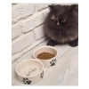 Doğal Hijyenik Seramik Kedi Mama ve Su Kabı Seti (2 Adet)