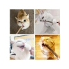 Doğal Matatabi Kedi Çiğneme Çubukları - 5 Adet, 15 mm Kalınlık