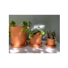 Doğal Terracotta Saksı ve Tabak - Pembenin Tonları (Küçük)