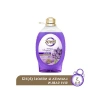 Doğal Yağlarla Zenginleştirilmiş Lavanta & Neroli Çiçeği Sıvı Sabun 3000 g