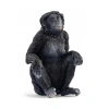 Doğayı Keşfet: Bonobo Figürü