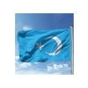 Doğu Türkistan Milli Bayrağı 70x105 cm Raşel Dijital Baskı