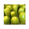 Dolmalık Kabak Tohumu - 10 Gram