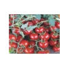 Domates Cherry Tohumu - 100 Adet